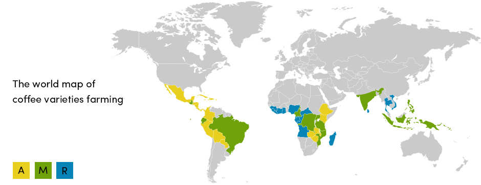 World Map Coffee Varieties