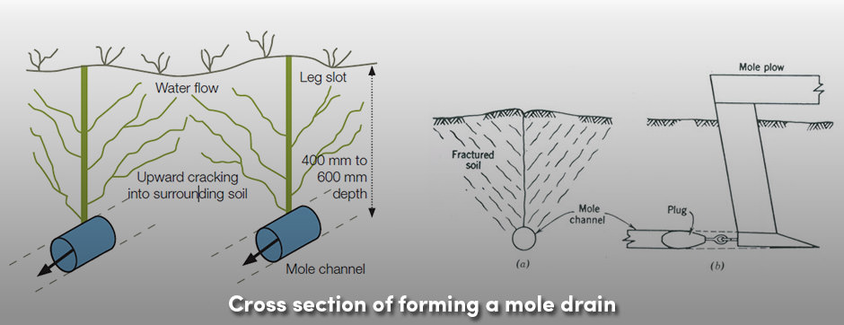 Undermining: A Simple and Low-Cost Soil Drainage - AGRIVI