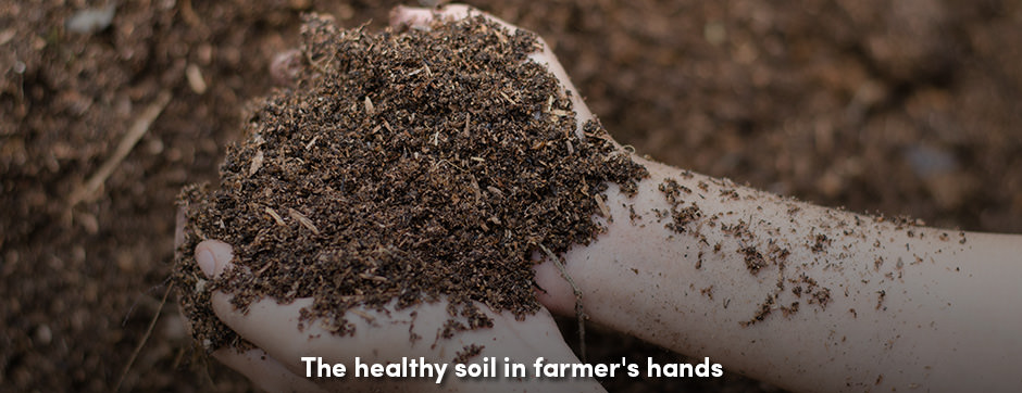 Healthy Soil