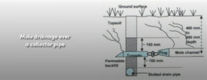 Mole Draining