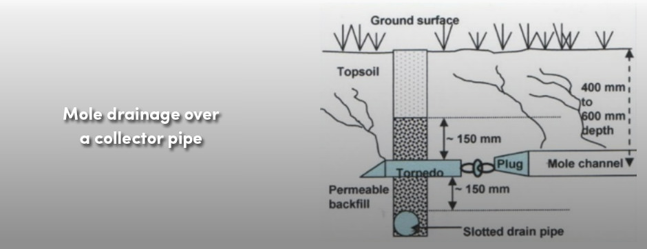 Mole Draining