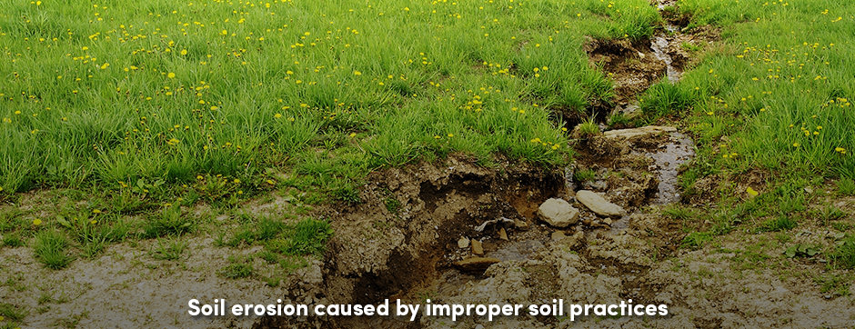 Soil Erosion