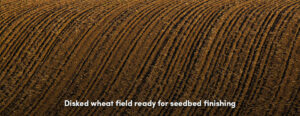Disked Wheat Field