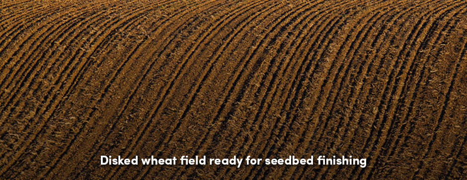 Disked Wheat Field