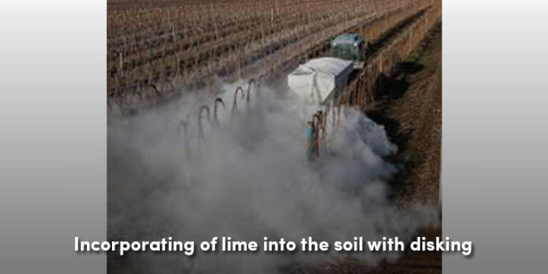 Lime soil disking