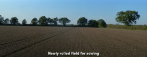Rolled Field