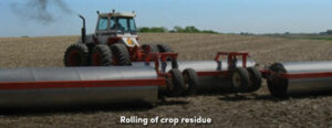 Rolling crop residue