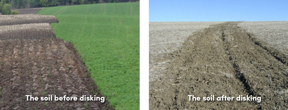 Soil disking