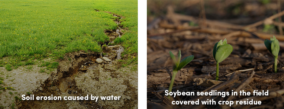 Soil erosion