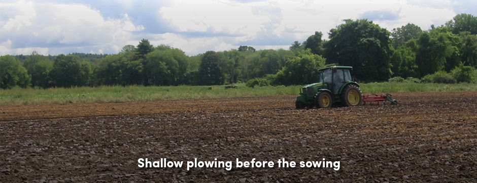Tractor Plowing Field 2