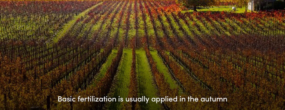 Basic Fertilization