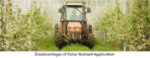 Disadvantages of Foliar Nutrient Application