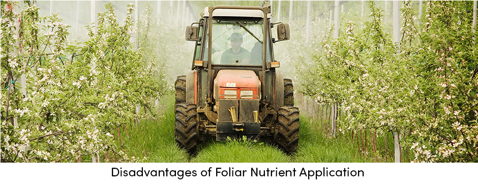 Disadvantages of Foliar Nutrient Application