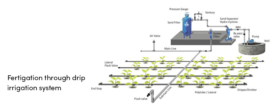 Fertigation Drip Irrigation System