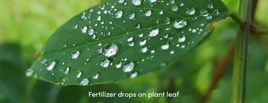 Fertilizer Drops