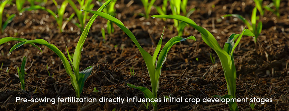 Pre-Sowing Fertilization