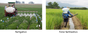 Fertilization methods