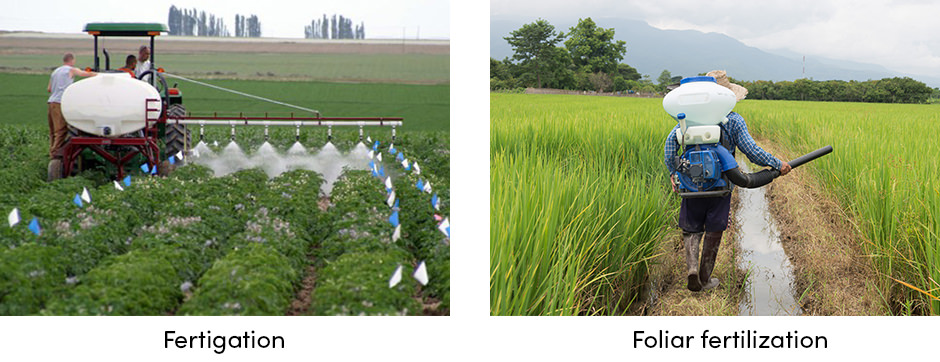 Fertilization methods