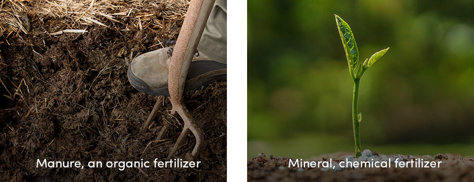 Fertilizers