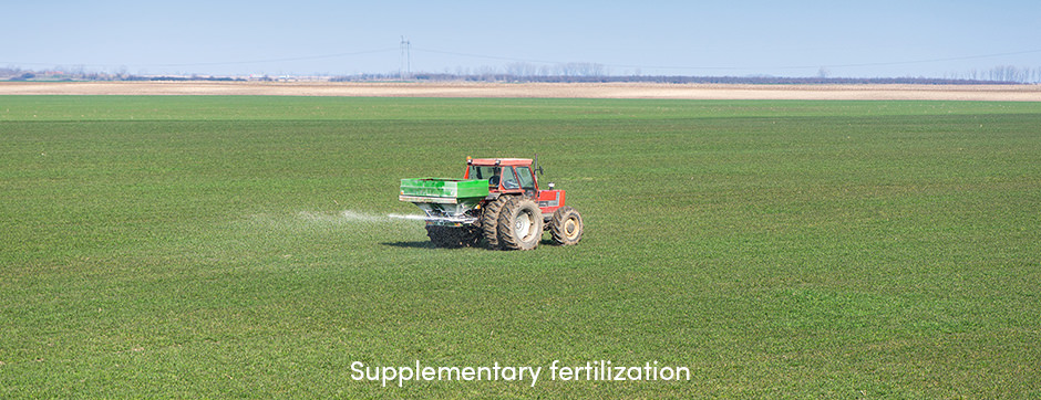 Tractor fertilizing field
