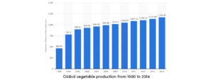 Global vegetable crop production