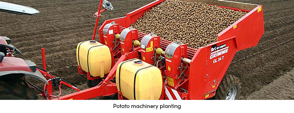 Potato Machinery Planting
