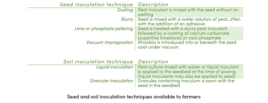 Seed and Soil