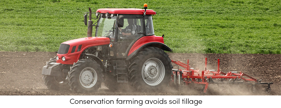 Conservation Farming