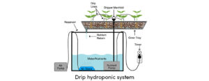 Drop Hydroponic System