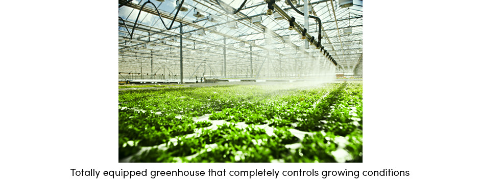 Equipped Greenhouse
