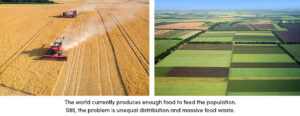 Food Production