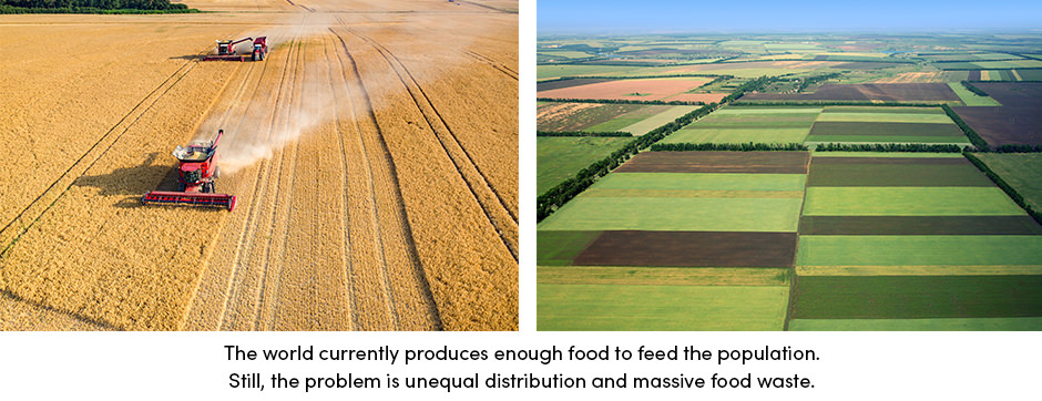Food Production