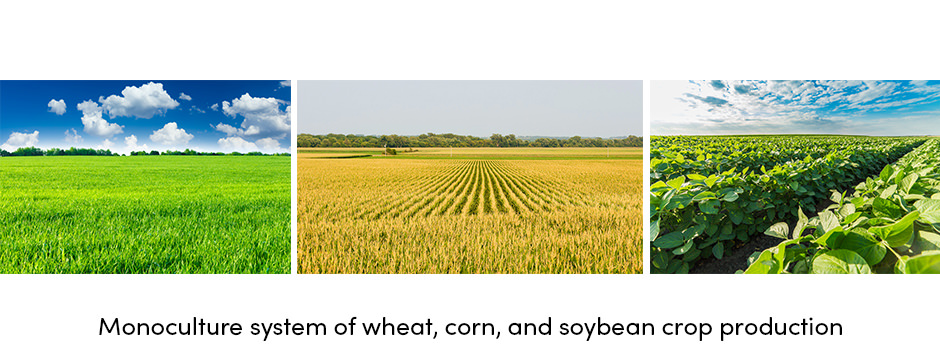 Monoculture System