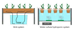 Wocl System