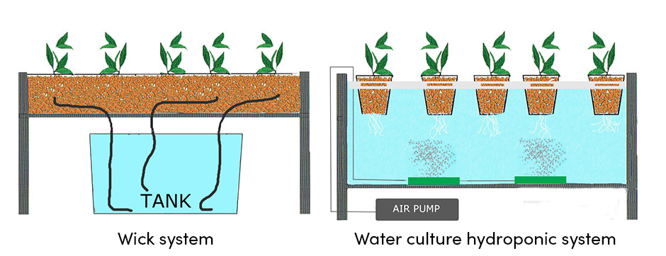Wocl System