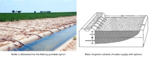 Basin Irrigation Scheme