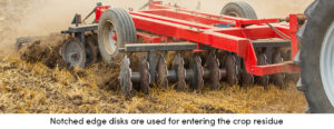 Notched Edge Disks