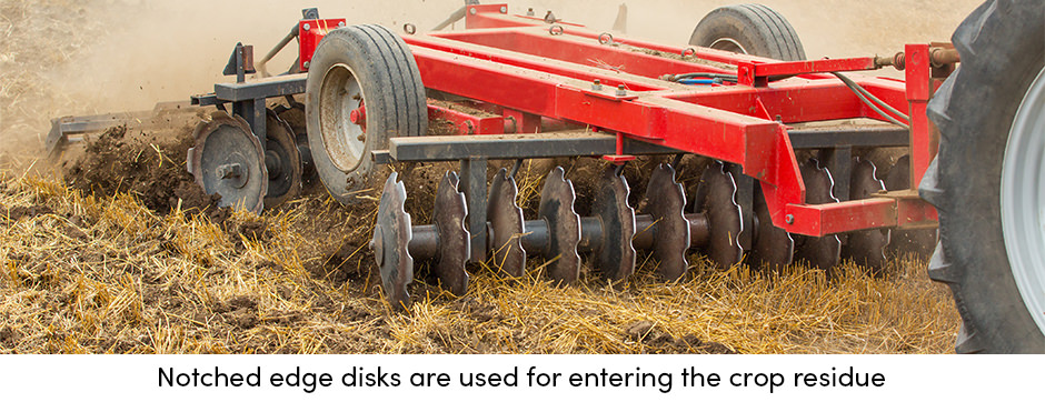 Notched Edge Disks