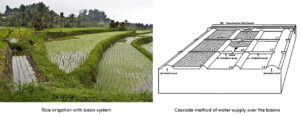 Recording Farm Activities with Basins System