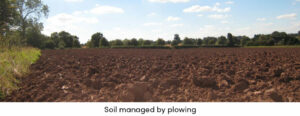 Soil Plowing