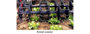 Basket Weeder