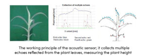 Acoustic Crop Sensor Principle