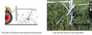 Biomass Sensor