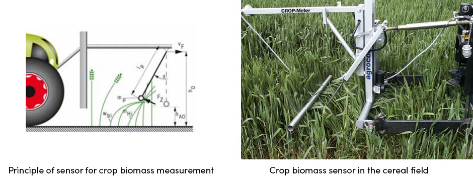Biomass Sensor