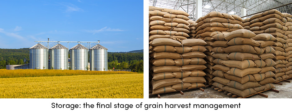 Grain Storage