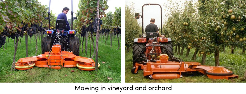 Mowing in Vineyard