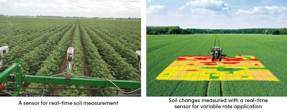 Real-Time Soil Measurement