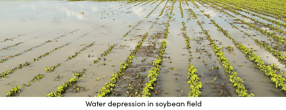 Water Depression