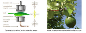 Water Sensor