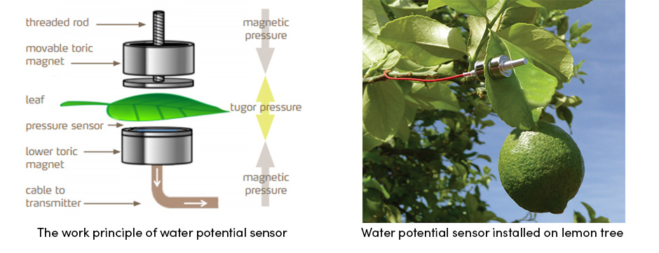 Water Sensor